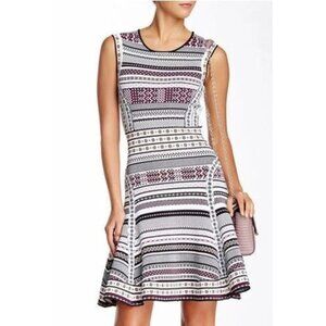 Diane von Furstenberg DVF ELEANOR Jacquard A Line Dress Banded Dot $498 Small